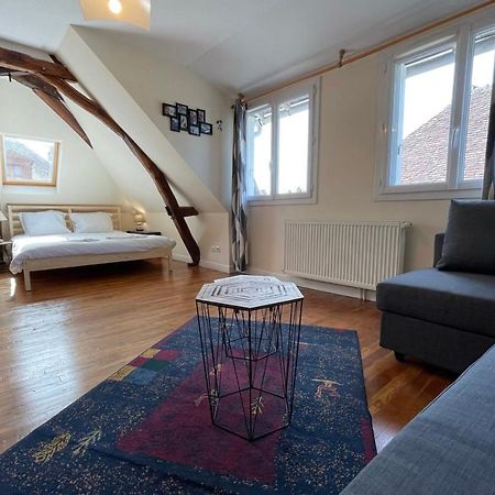 Town House In The Heart Of The Cher Valley Near Amboise Villa Blere Exteriör bild